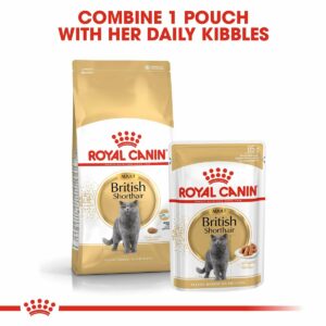 ROYAL CANIN ADULT British Shorthair 2kg + Nassfutter in Soße 12x85g