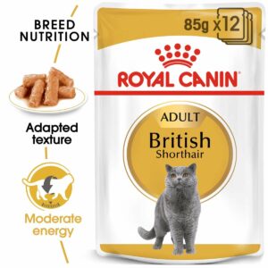 ROYAL CANIN British Shorthair Adult Katzenfutter nass für Britisch Kurzhaar 12x85g