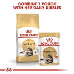 ROYAL CANIN ADULT Maine Coon 2kg + Nassfutter in Soße 12x85g