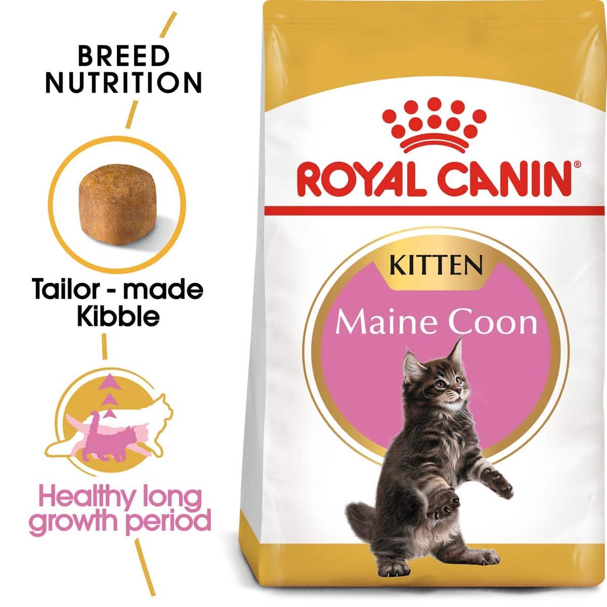 ROYAL CANIN Maine Coon Trockenfutter für Kätzchen 4kg