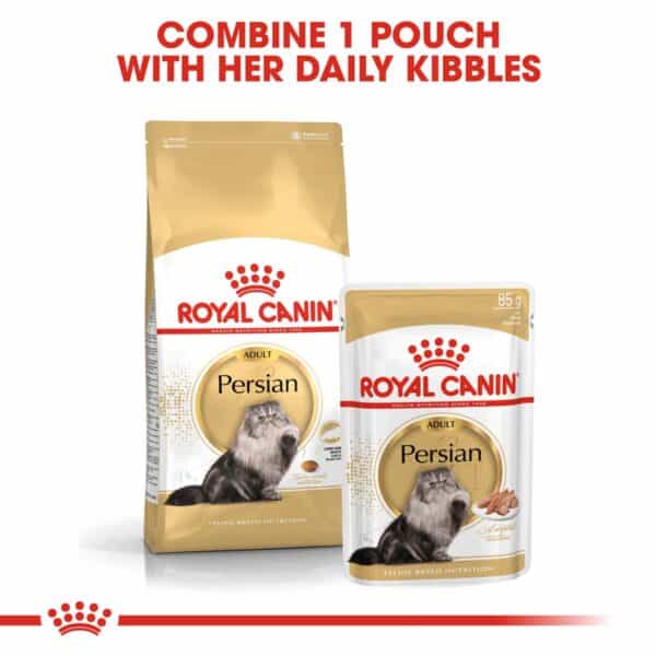 ROYAL CANIN ADULT Persian Trockenfutter 10kg + Nassfutter 48x85g