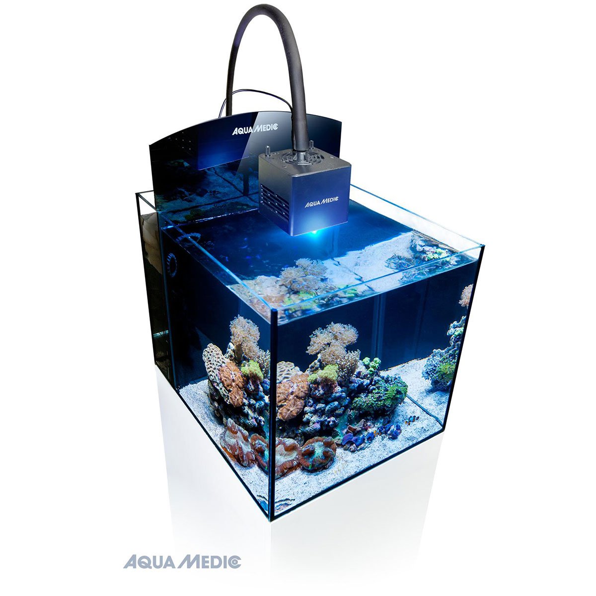 Aqua Medic Blenny Cube