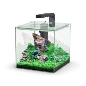 Aquatlantis Aquarium Set Kubus LED 10l
