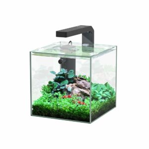 Aquatlantis Aquarium Set Kubus LED 5l