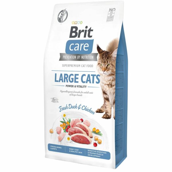 Brit Care GF Large Cats Power & Vitality 2x7kg