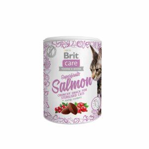 Brit care Cat Snack - Superfruits Salmon 100g