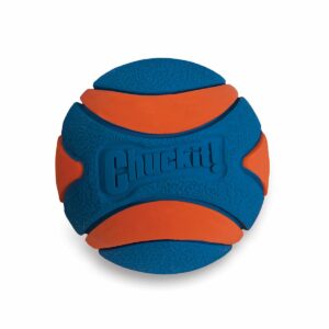 Chuckit! Ultra Squeaker Ball S