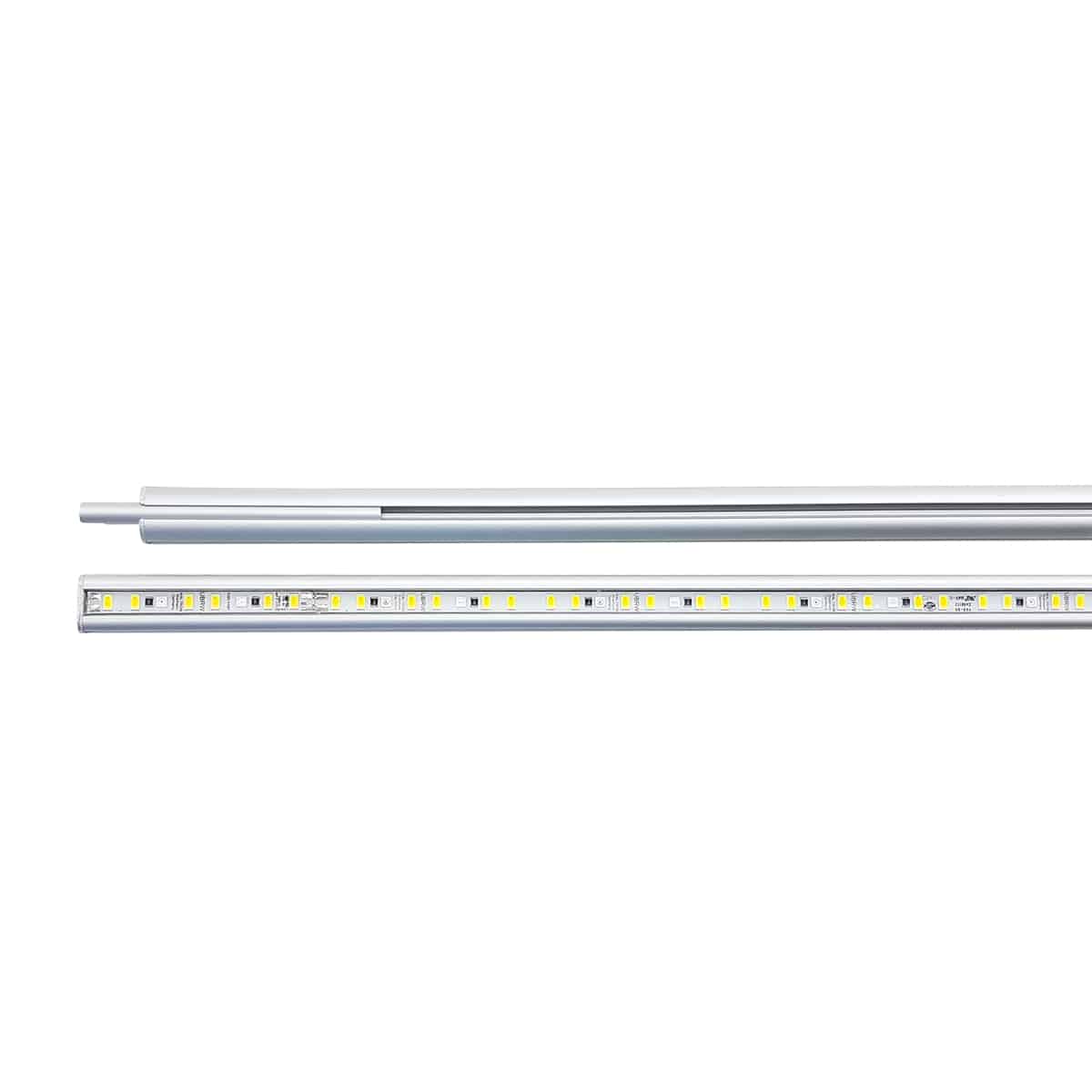 Daytime onex 140 plant 132cm 40