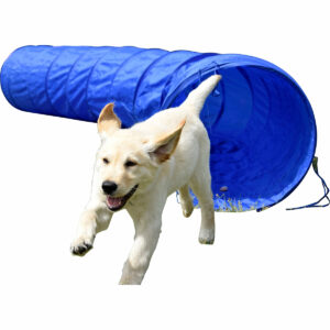 dobar Agility Tunnel 300 cm lang