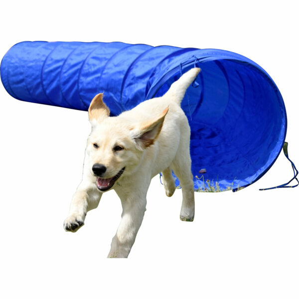dobar Agility Tunnel 300 cm lang