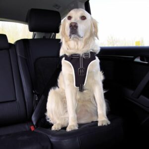 Trixie Dog Protect Sicherheitsgeschirr für Hunde L