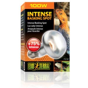 Exo Terra Intense Basking Spot 4+1 gratis 100 Watt