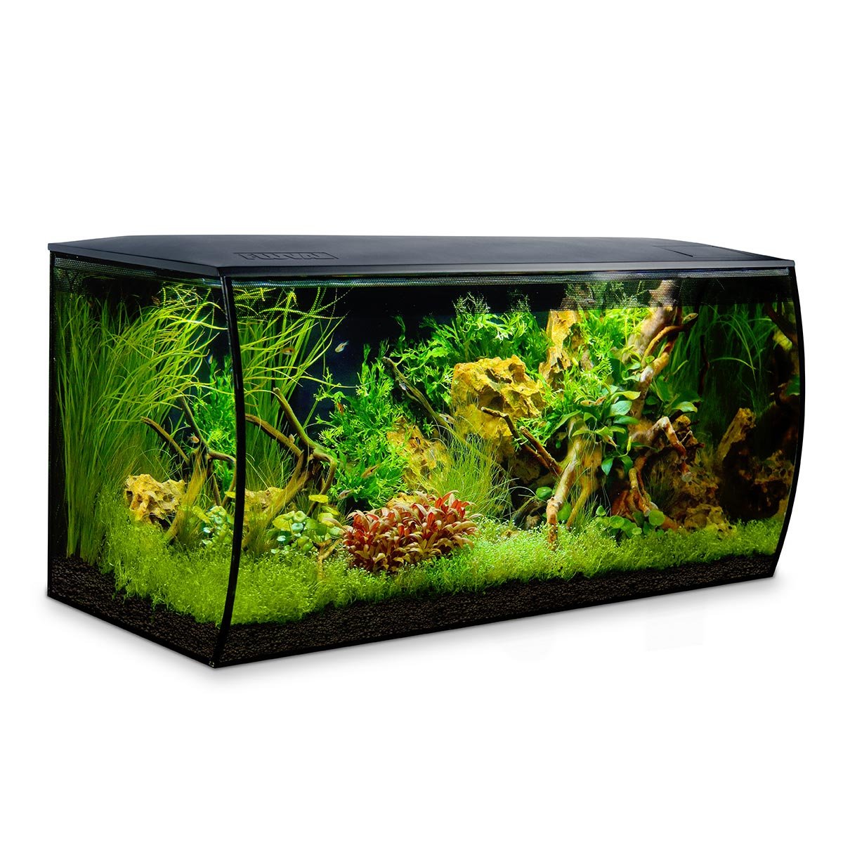 Fluval Aquarium FLEX 123 Liter schwarz