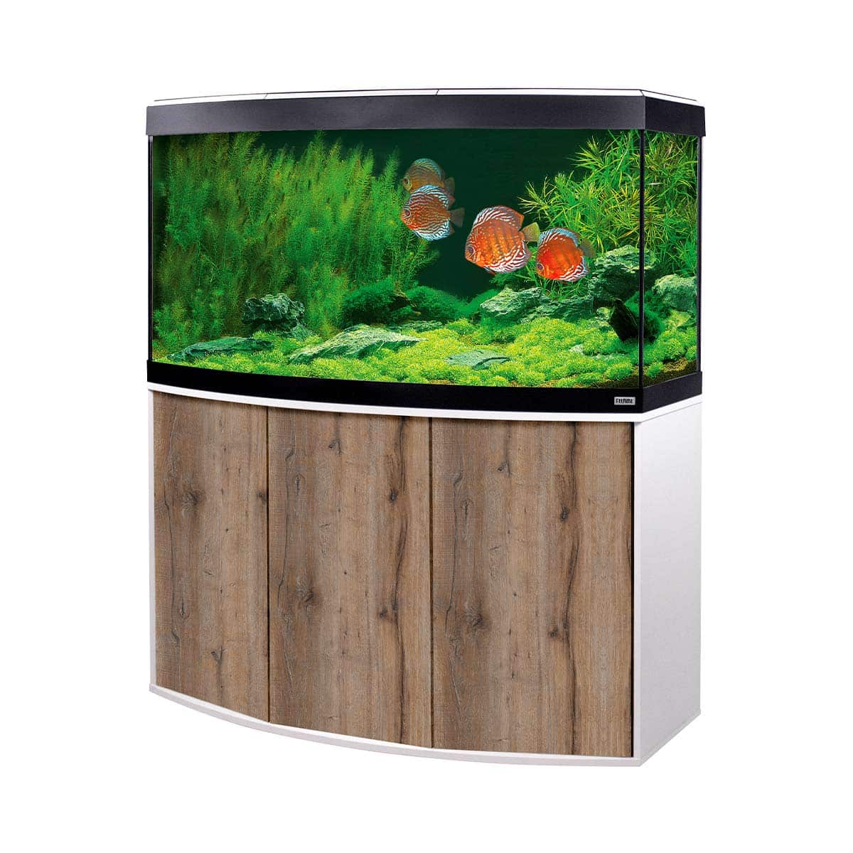 Fluval Komplettaquarium mit Unterschrank Vicenza 260 weiß/Eiche