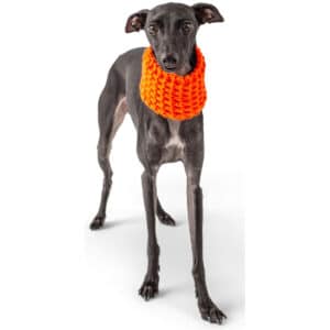 GF Pet Scout Schlauchschal orange M