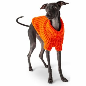 GF Pet Scout Sweater orange S