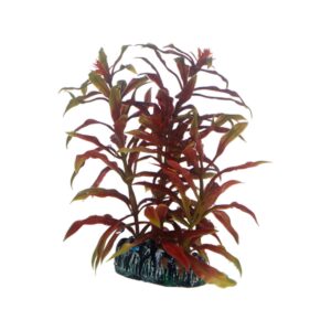 Hobby Aquariumdekoration Nesaea 13 cm