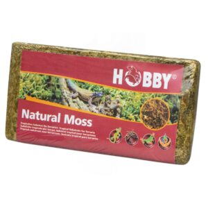 Hobby Natural Moss 100g
