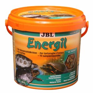 JBL Energil 2
