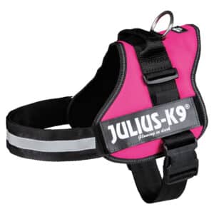 Julius-K9 Powergeschirr fuchsia Gr.2