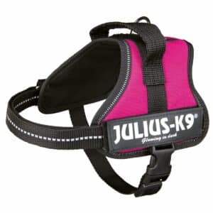 Julius-K9 Powergeschirr fuchsia Mini