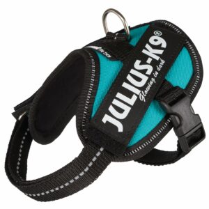 Julius-K9 IDC Geschirr petrol 2XS/Baby 2 33-45cm