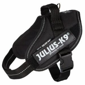 Julius-K9 IDC Geschirr schwarz Mini