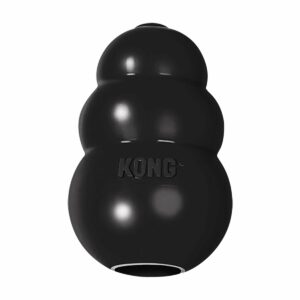 KONG Extreme L