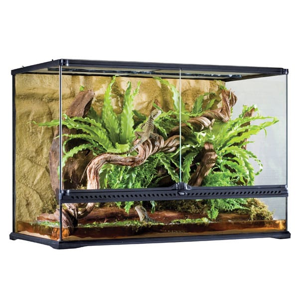 Exo Terra Natural Terrarium Large/Tall