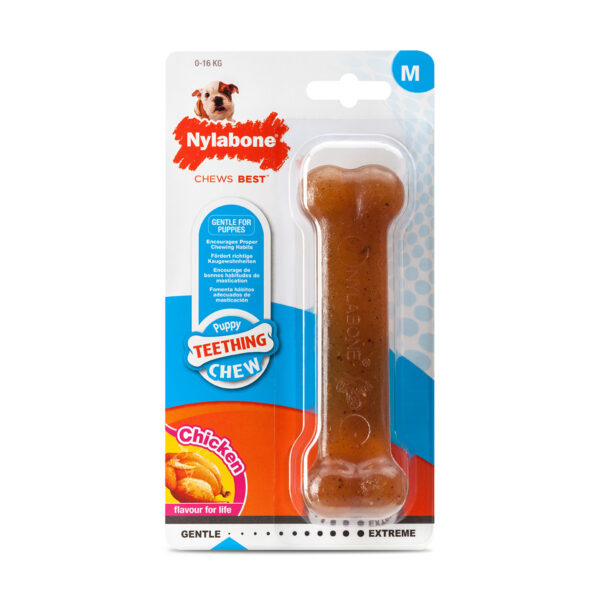 Nylabone Puppy Welpen Kauknochen Hühnchen-Geschmack M