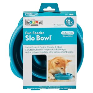 Fun Feeder Slo Bowl Anti Schling Drop Turquoise Medium