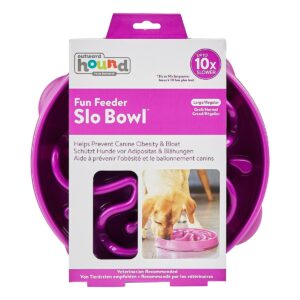 Fun Feeder Slo Bowl Anti Schling Flower Purple Large