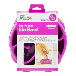 Fun Feeder Slo Bowl Anti Schling Flower Purple Medium