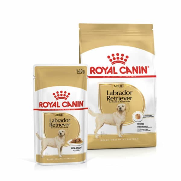 ROYAL CANIN Labrador Retriever Adult 3kg + Labrador Adult in Soße 10x140g