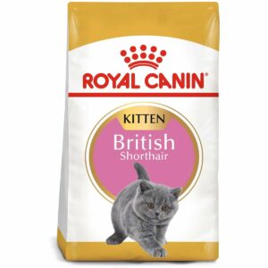 ROYAL CANIN British Shorthair Kittenfutter trocken für Kätzchen 10 kg