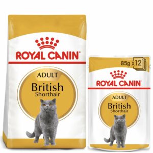ROYAL CANIN ADULT British Shorthair 10kg + Nassfutter in Soße 48x85g