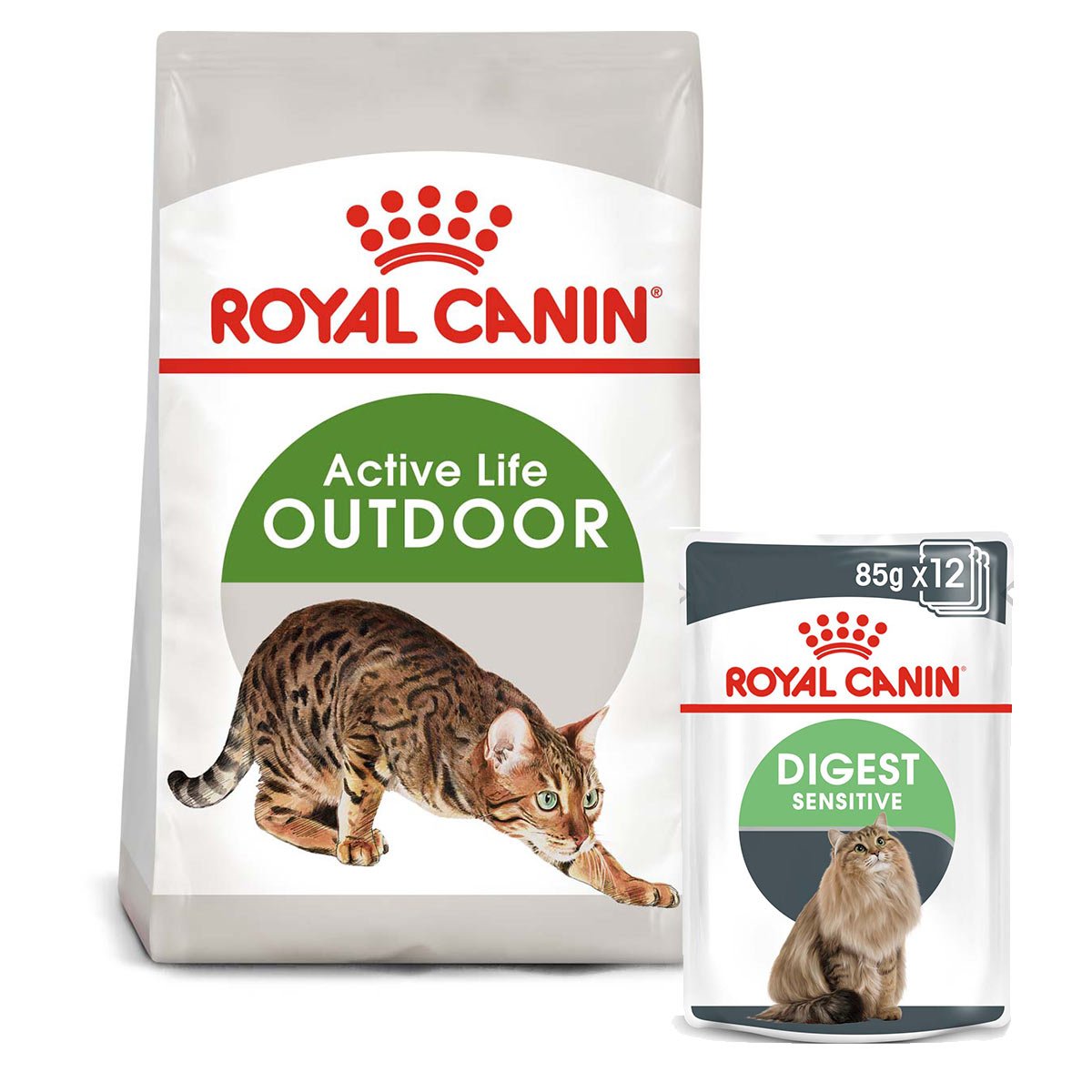 ROYAL CANIN OUTDOOR Trockenfutter 2kg + Digest Sensitive Nassfutter 12x85g