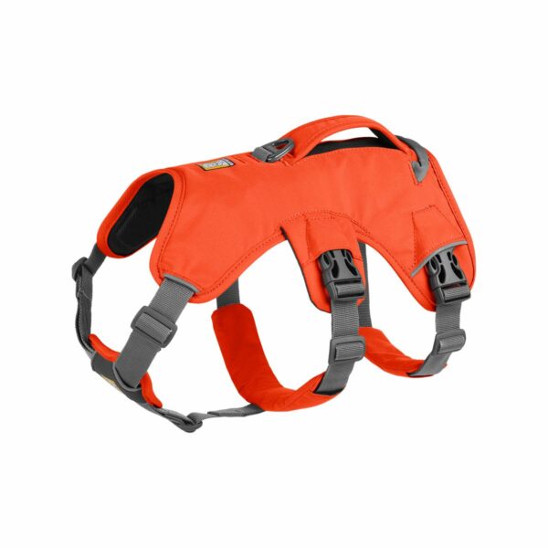 Ruffwear Geschirr Web Master Blaze Orange Medium