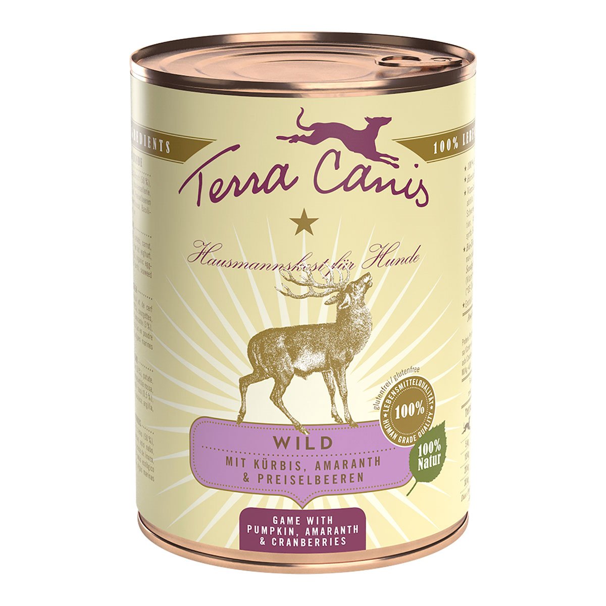 Terra Canis CLASSIC – Wild mit Kürbis