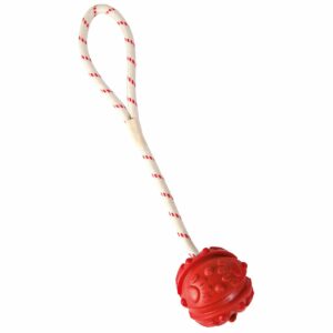 Trixie Aqua Toy Ball am Seil Wasserspielzeug Ø 7cm