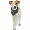 Trixie BE NORDIC Halstuch L 50 cm