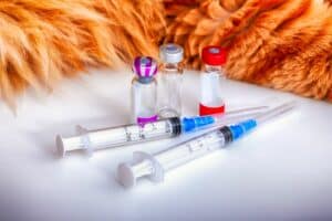 Haustier Impfung