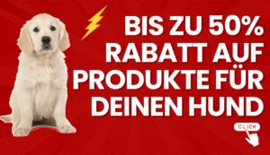 Aktion Hund