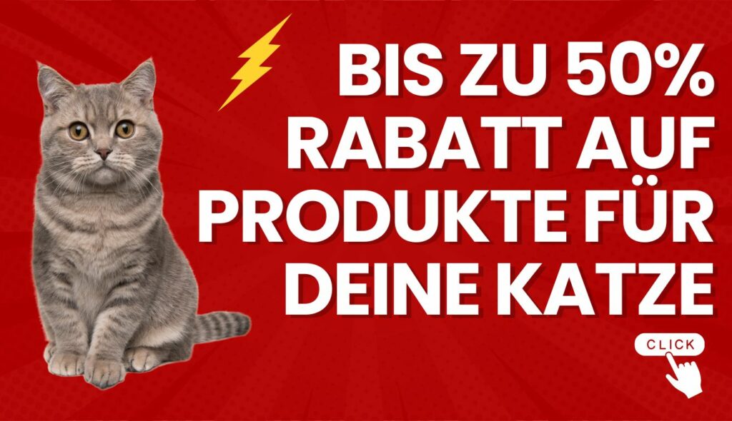 Aktion Katze