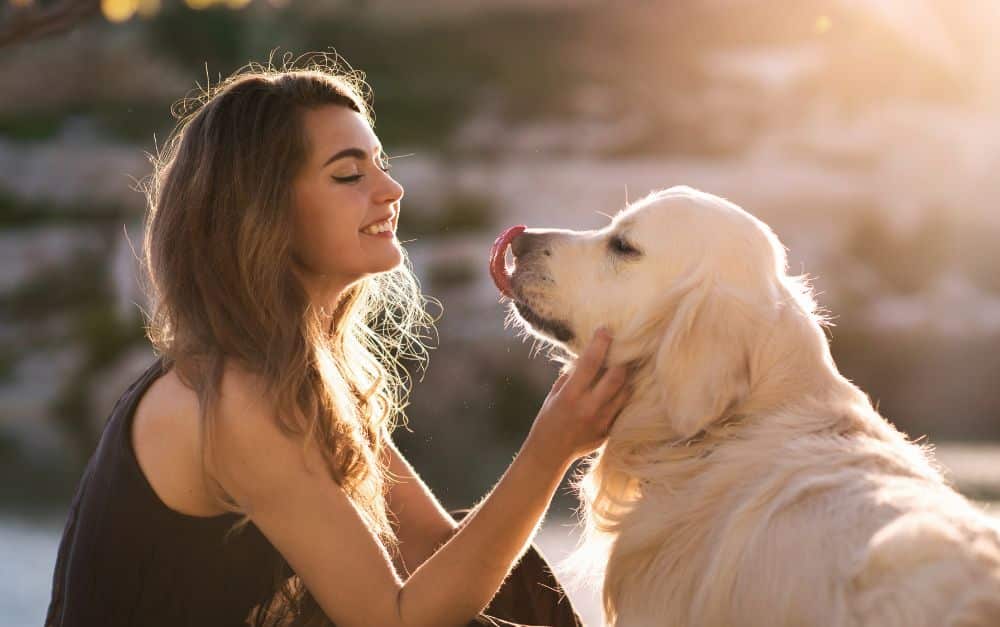 Darmgesundheit Hund